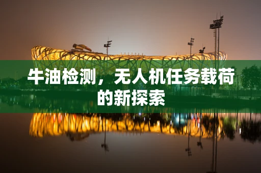 牛油检测，无人机任务载荷的新探索