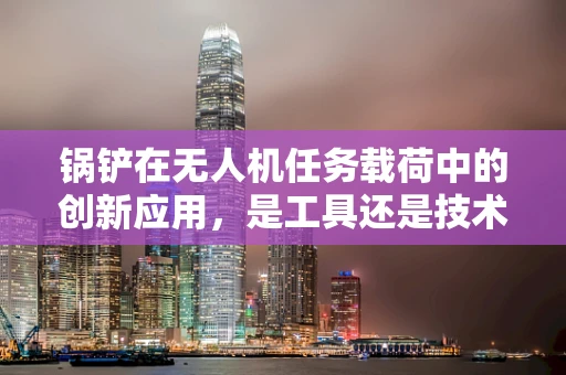 锅铲在无人机任务载荷中的创新应用，是工具还是技术革新？