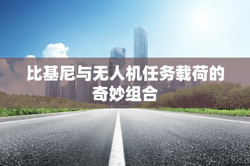 比基尼与无人机任务载荷的奇妙组合