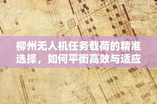 柳州无人机任务载荷的精准选择，如何平衡高效与适应性？