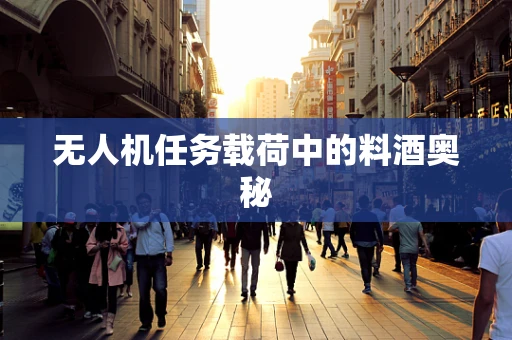 无人机任务载荷中的料酒奥秘