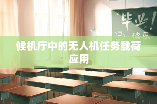 候机厅中的无人机任务载荷应用