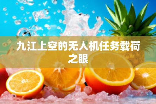 九江上空的无人机任务载荷之眼