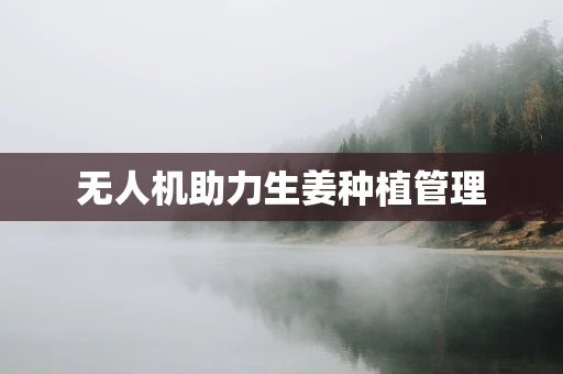 无人机助力生姜种植管理