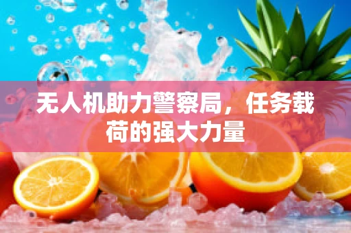 无人机助力警察局，任务载荷的强大力量