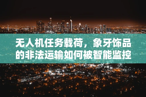 无人机任务载荷，象牙饰品的非法运输如何被智能监控？