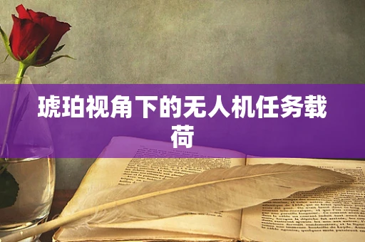 琥珀视角下的无人机任务载荷
