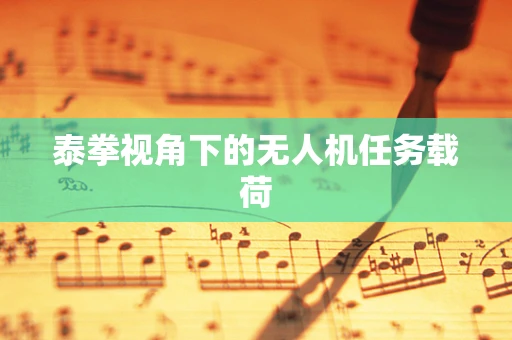 泰拳视角下的无人机任务载荷
