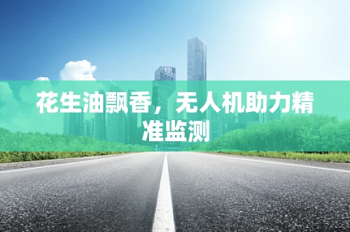 花生油飘香，无人机助力精准监测
