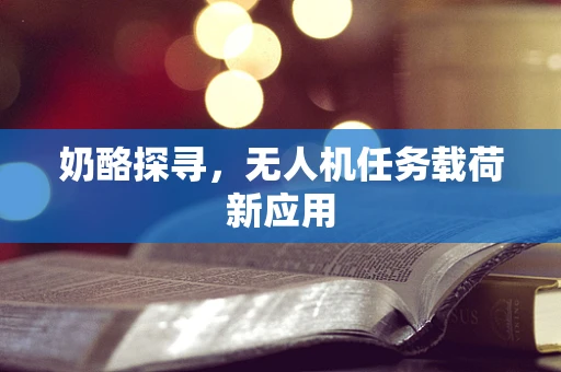 奶酪探寻，无人机任务载荷新应用