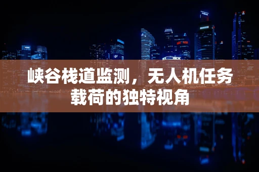 峡谷栈道监测，无人机任务载荷的独特视角
