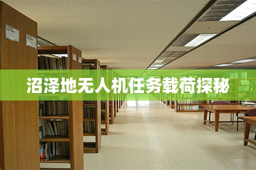沼泽地无人机任务载荷探秘