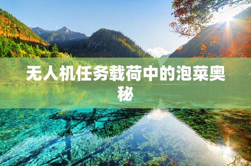 无人机任务载荷中的泡菜奥秘
