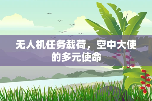 无人机任务载荷，空中大使的多元使命