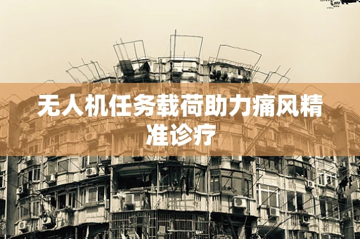 无人机任务载荷助力痛风精准诊疗