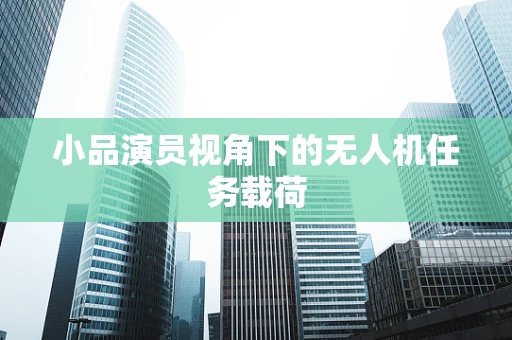 小品演员视角下的无人机任务载荷