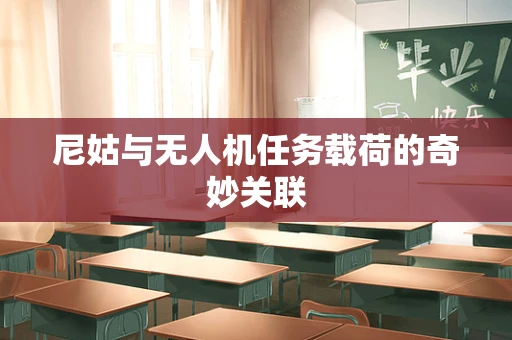 尼姑与无人机任务载荷的奇妙关联