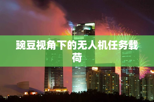 豌豆视角下的无人机任务载荷