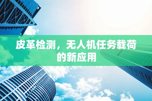 皮革检测，无人机任务载荷的新应用