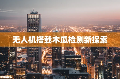 无人机搭载木瓜检测新探索