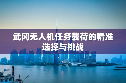 武冈无人机任务载荷的精准选择与挑战