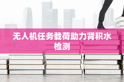 无人机任务载荷助力肾积水检测
