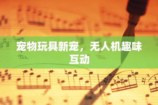 宠物玩具新宠，无人机趣味互动