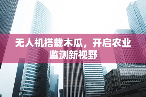 无人机搭载木瓜，开启农业监测新视野