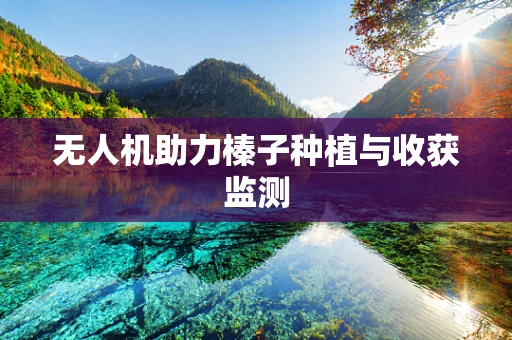 无人机助力榛子种植与收获监测