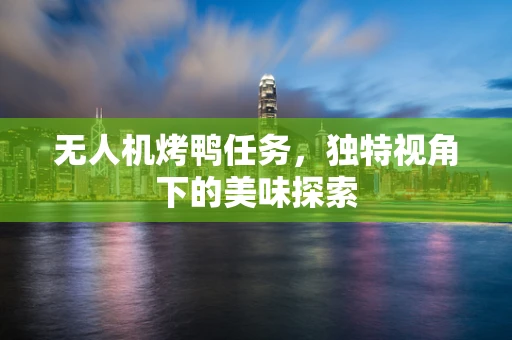 无人机烤鸭任务，独特视角下的美味探索