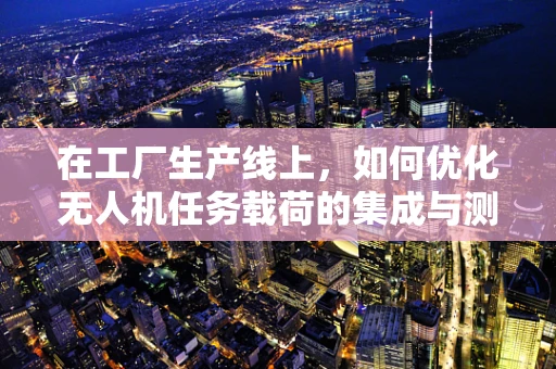 在工厂生产线上，如何优化无人机任务载荷的集成与测试？