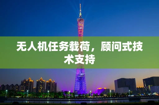 无人机任务载荷，顾问式技术支持