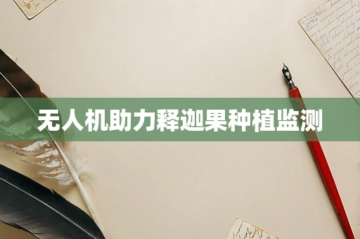 无人机助力释迦果种植监测