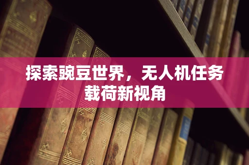 探索豌豆世界，无人机任务载荷新视角