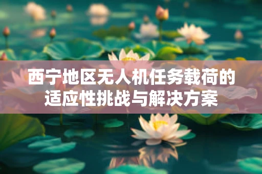 西宁地区无人机任务载荷的适应性挑战与解决方案