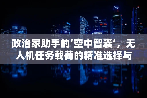 政治家助手的‘空中智囊’，无人机任务载荷的精准选择与挑战？