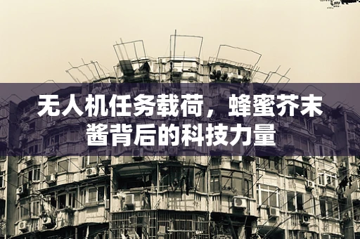 无人机任务载荷，蜂蜜芥末酱背后的科技力量