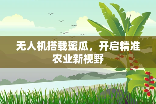 无人机搭载蜜瓜，开启精准农业新视野