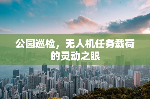 公园巡检，无人机任务载荷的灵动之眼