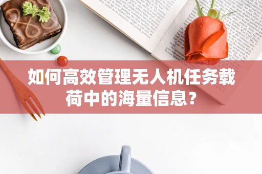 如何高效管理无人机任务载荷中的海量信息？