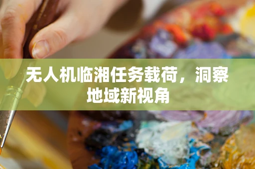 无人机临湘任务载荷，洞察地域新视角