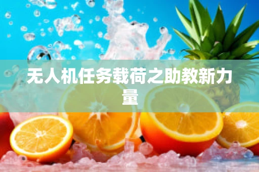 无人机任务载荷之助教新力量