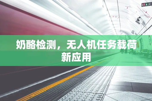 奶酪检测，无人机任务载荷新应用
