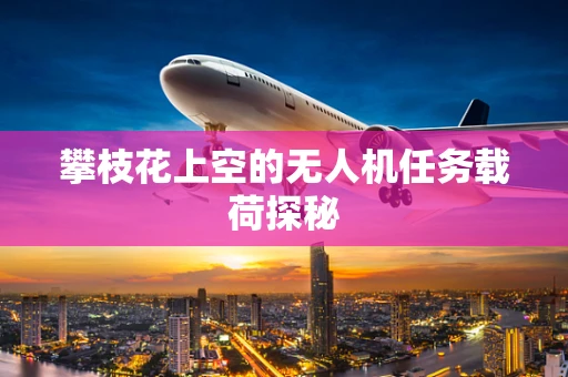 攀枝花上空的无人机任务载荷探秘
