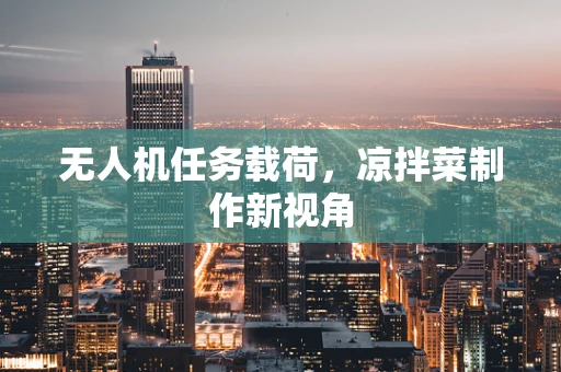 无人机任务载荷，凉拌菜制作新视角