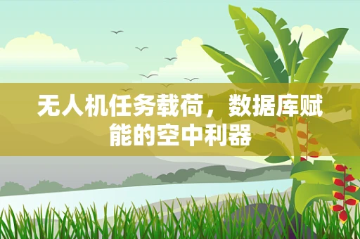 无人机任务载荷，数据库赋能的空中利器