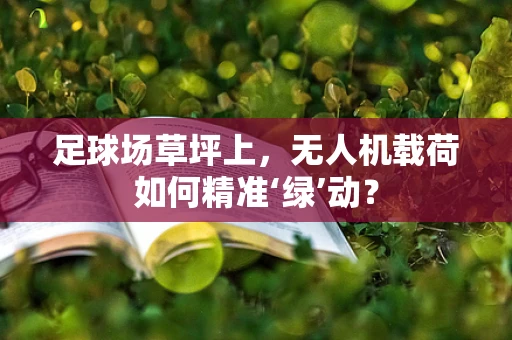 足球场草坪上，无人机载荷如何精准‘绿’动？