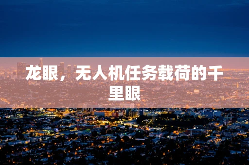 龙眼，无人机任务载荷的千里眼