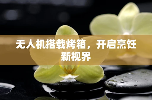 无人机搭载烤箱，开启烹饪新视界