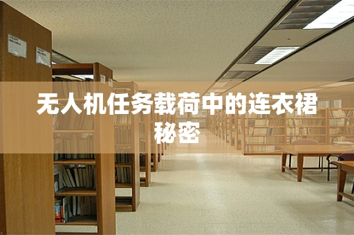 无人机任务载荷中的连衣裙秘密